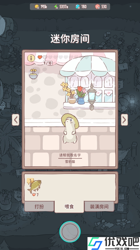 猫咪和汤官方正版