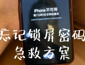 苹果手机密码忘了怎么办 苹果手机密码忘了解决方法【相关介绍】