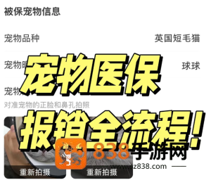 支付宝宠物保险报销流程 支付宝宠物保险报销流程