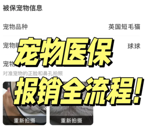 支付宝宠物保险报销流程 支付宝宠物保险报销比例【方法】