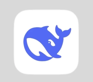 deepseek网页版入口 deepseek网页版怎么退出登录【分享】