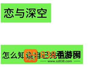 恋与深空怎么看冲了多少钱 恋与深空怎么看自己氪金记录 恋与深空怎么看冲了多少钱 恋与深空怎么看自己氪金记录