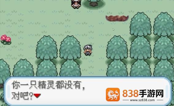 口袋妖怪火箭队汉化版