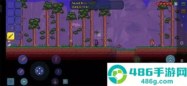 泰拉瑞亚1.4.4.9汉化版2025最新版(Terraria)