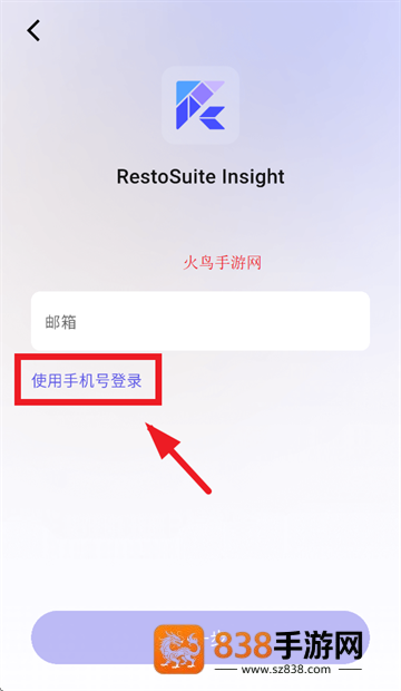 RS Insight官方正版