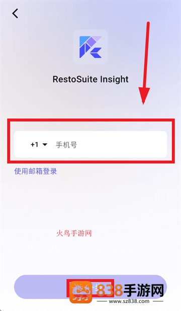 RS Insight官方正版