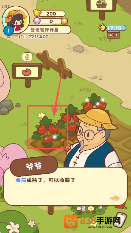 彩虹棉花糖小店手游