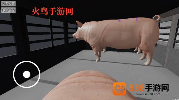可爱小猪游戏