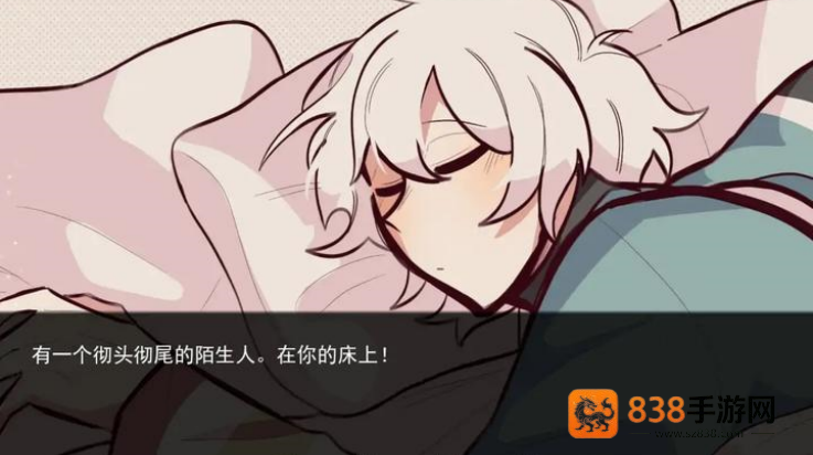 病娇抱枕游戏