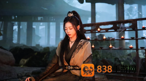 美女请别影响我成仙国际服手游