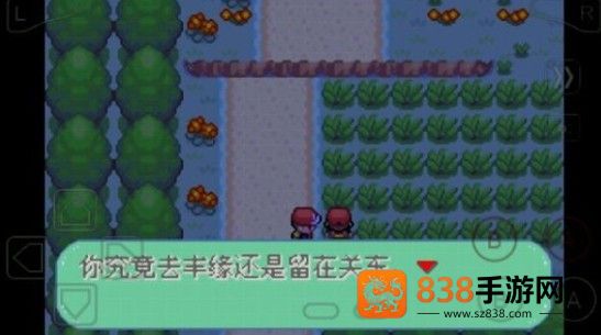 口袋妖怪彼岸花绽放之夜手机版(口袋妖怪:新世界传奇·彼岸花绽放之夜2016)