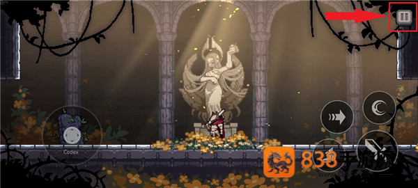 地牢杀手内置作弊菜单(dungeonslasher)