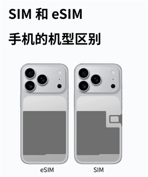 <font color=red>e</font>SIM卡是什么意思 <font color=red>e</font>SIM和sim卡有何区别【养成方法】