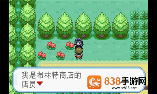 口袋妖怪火红全随机版最新版(究极绿宝石5.2)