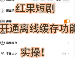 红果短剧怎么下载缓存 红果短剧下载缓存方法【核心要点】