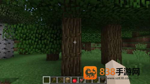 我的世界PE版(Minecraft)