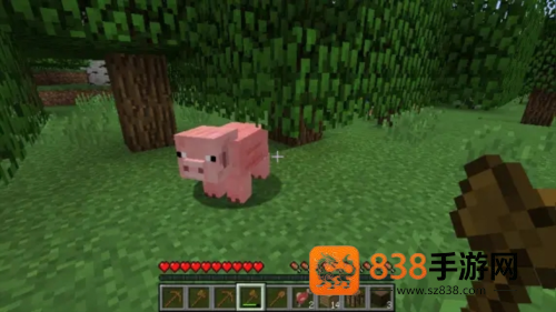 我的世界PE版(Minecraft)