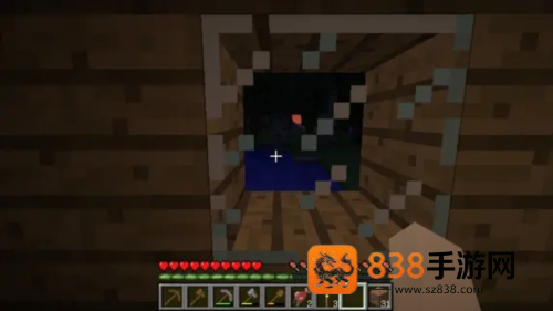 我的世界PE版(Minecraft)
