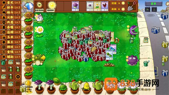 PVZ金铲铲版下载最新版本(Plants Vs Zombies Golden chess)