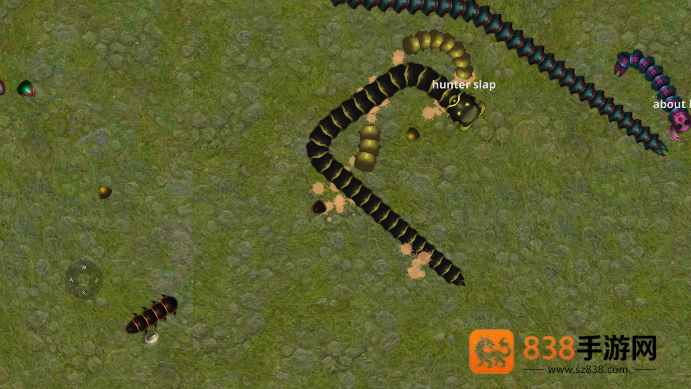 巨蛇蠕虫游戏(Snake Battle)