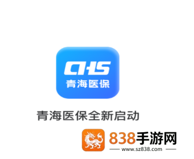 青海医保服务平台
