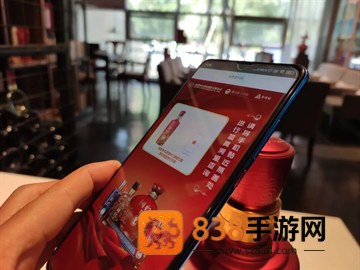 国台nfc鉴真app