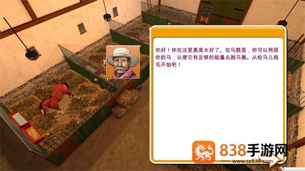 小马的世界我的骑乘游戏