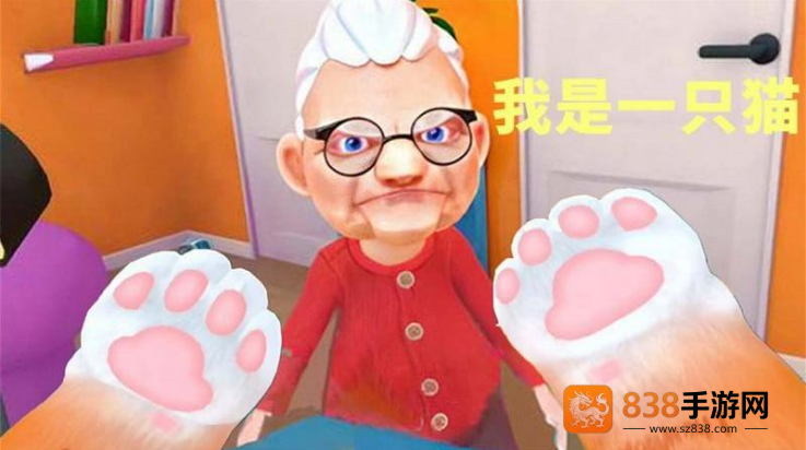 猫抓老鼠游戏