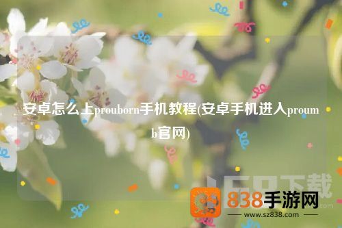 安卓手机如何进入proumb网站