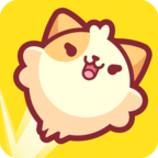 皮皮猫官方版