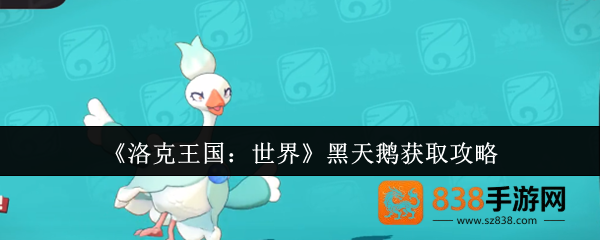 洛克王国黑天鹅速刷指南