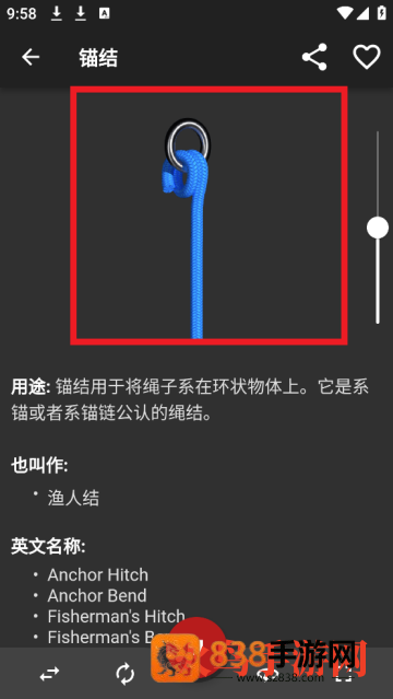3D绳结软件(Knots 3D)