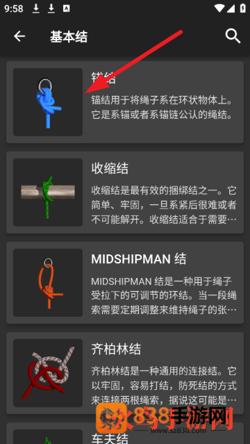 3D绳结软件(Knots 3D)