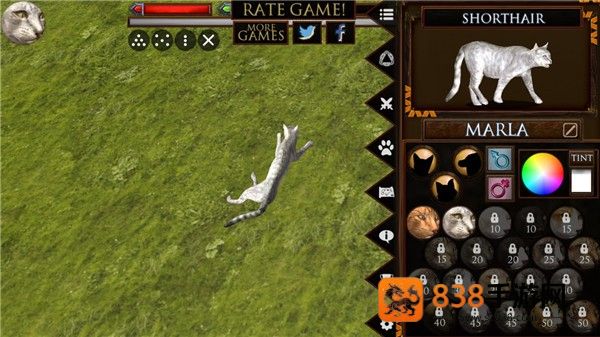 终极猫模拟器手机版(RTK_UltCatSim)