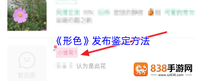 形色