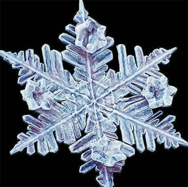 冰封利刃降临!光与影33号远征队吕涅雪结终极获取指南【相关介绍】