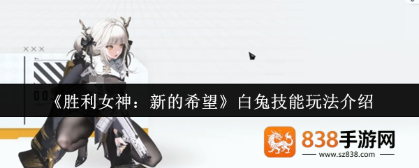胜利女神妮姬白兔终极指南