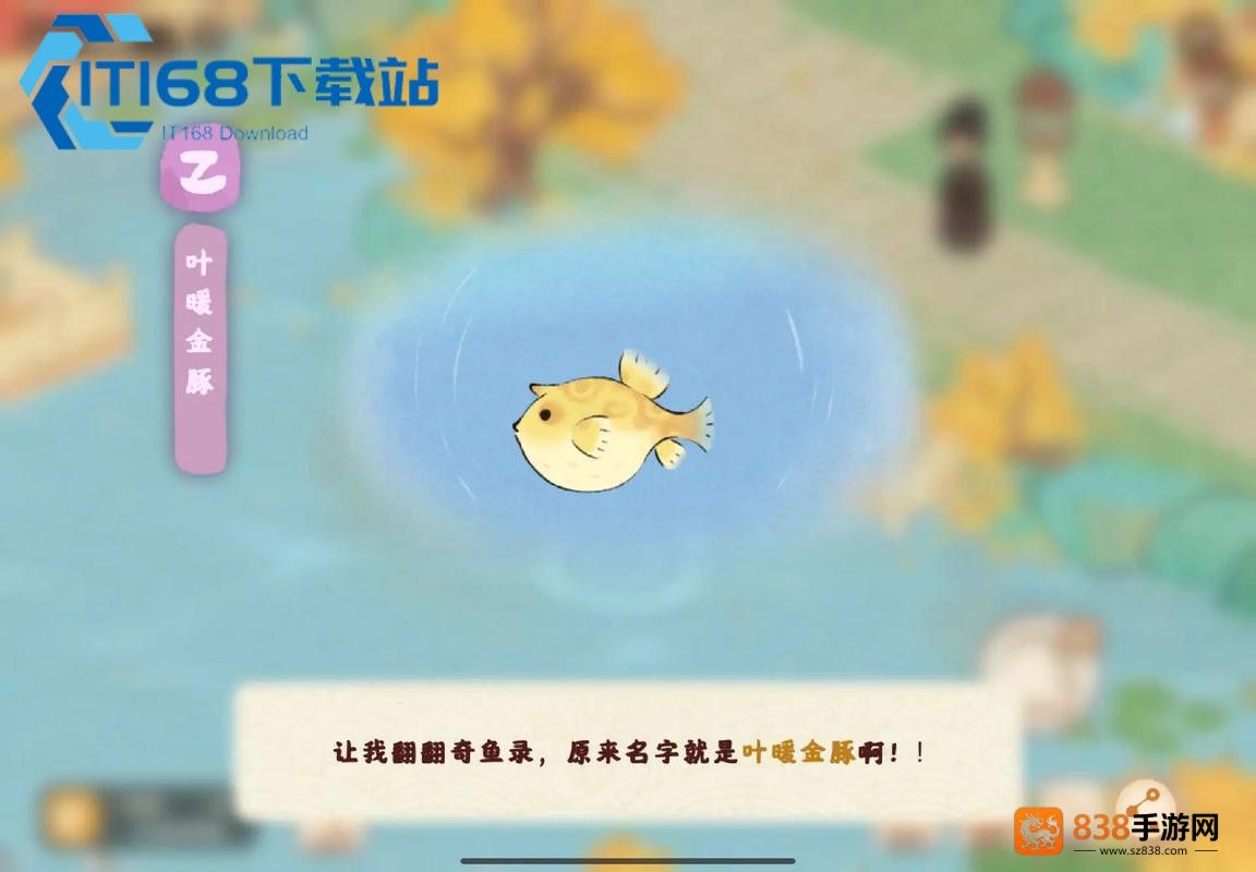 锦鱼钓鱼攻略