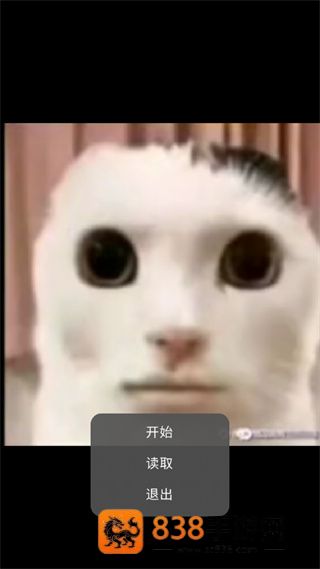 猫猫惊魂下载正版