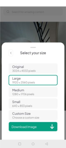 pexels素材中文版最新版本下载