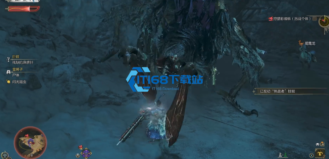 影蜘蛛揍起来得讲究个门道,北京朝阳猎人有话要说【全面指导】