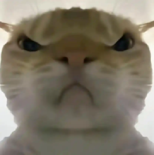 寻宝鼠辅助器免费下载手机版