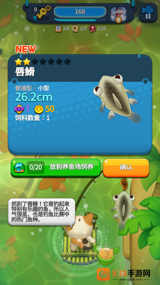 猫咪钓鱼场游戏