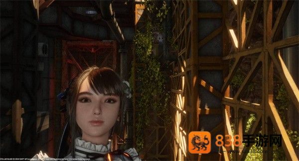 剑星猫咪摄影展全收集
