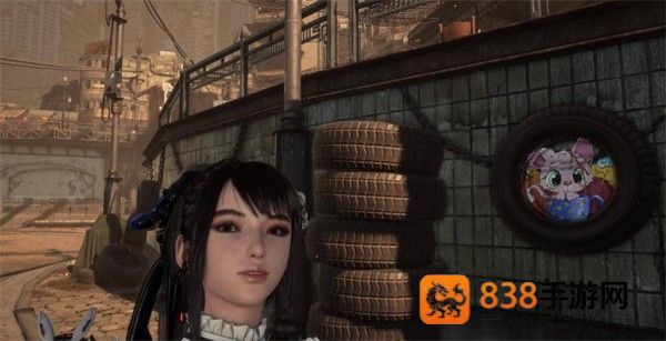 剑星猫咪摄影展全收集