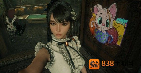 剑星猫咪摄影展全收集