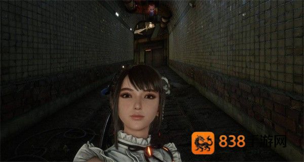 剑星猫咪摄影展全收集