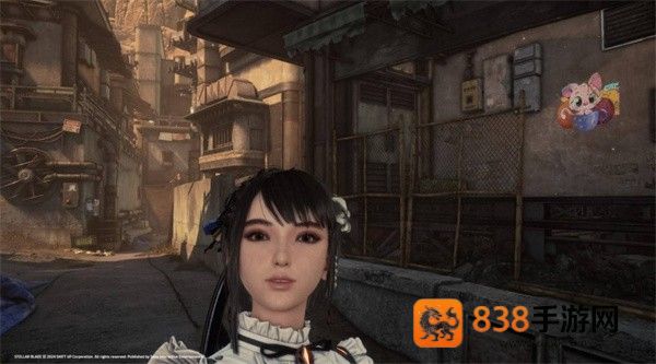 剑星猫咪摄影展全收集