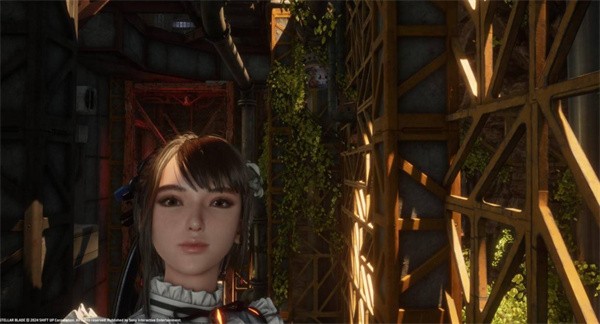 剑星猫咪摄影展全收集!<font color=red>1</font>0只隐藏猫咪位置大揭秘【养成方法】