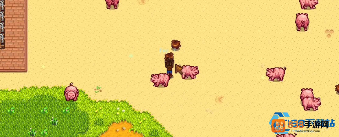 星露谷养猪流松露全攻略